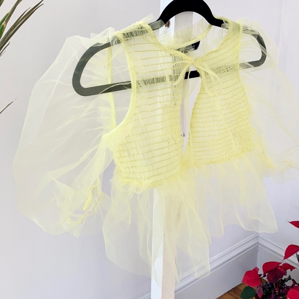 Zara Smocked Tulle Puffed Sleeve Top
